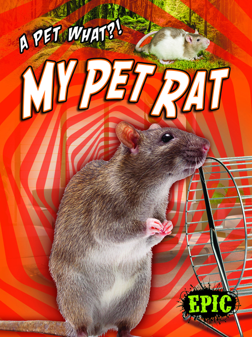 Title details for My Pet Rat by Paige V. Polinsky - Available